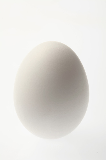 White egg - 写真・画像