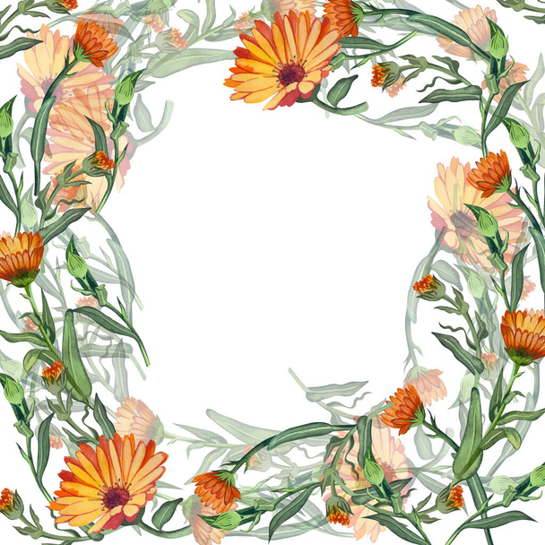 Square frame of calendula flowers. Suitable for the design of printing, postcards, invitations. - Foto, imagen