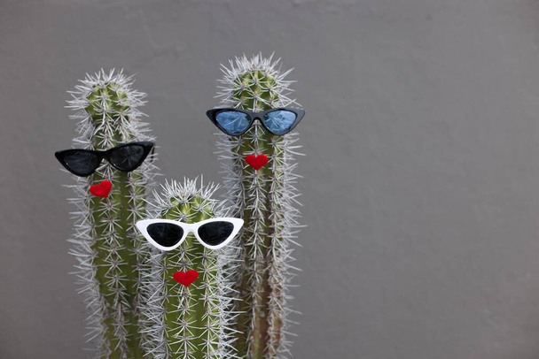 Fun and cool three cactuses wearing the sunglasses and with red lips. - Fotoğraf, Görsel