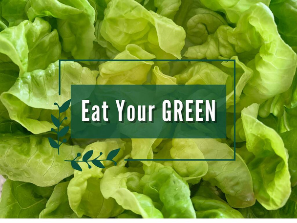 Φάτε το πράσινο κείμενο σας σε μια εικόνα με πράσινο φόντο σαλάτα. Καταλληλότητα και δίαιτα έννοια. - Φωτογραφία, εικόνα