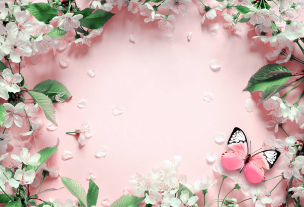 Rami e petali fioriti su fondo rosa e farfalla. Concetto primavera. - Foto, immagini