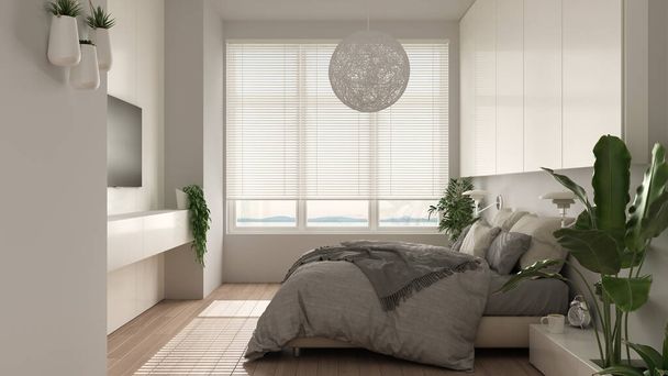 Panoramatická bílá minimalistická ložnice s parketami, velkým oknem, domácími rostlinami, měkkou přikrývkou a polštáři. Ekologický koncept, design interiéru - Fotografie, Obrázek
