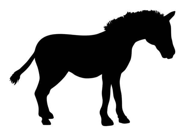 zebra animal silhouette vector illustration - Вектор,изображение