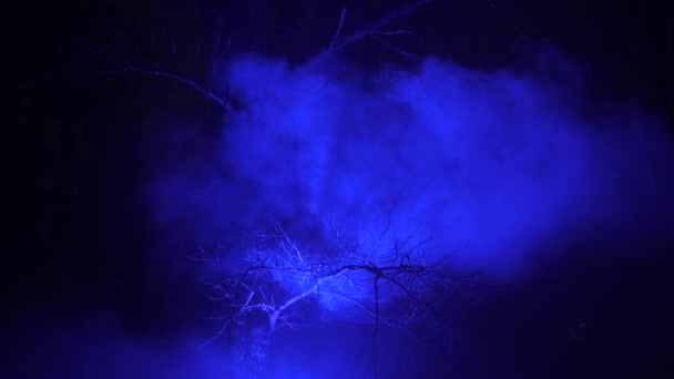 Καπνός στο σκοτάδι με μπλε αχτίδα φωτός - Πλάνα, βίντεο