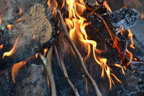 fire of burning wood and bushes yellow golden flame - Foto, Imagem