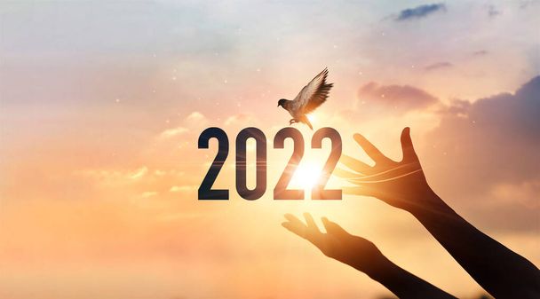 2022 Yeni Yıl 'a dokunmak ve günbatımının arka planında doğanın tadını çıkarmak. Mutlu yıllar konsepti..  - Fotoğraf, Görsel