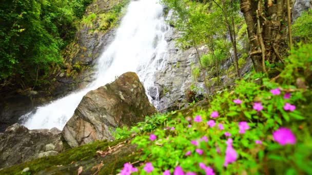 Prachtige waterval Sarika Waterval in nakhon nayok Thailand op 9-2022 januari Prachtige natuur landschap - Video