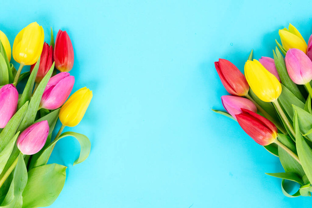 Pink, yeelow and violet tulips flowers - Φωτογραφία, εικόνα
