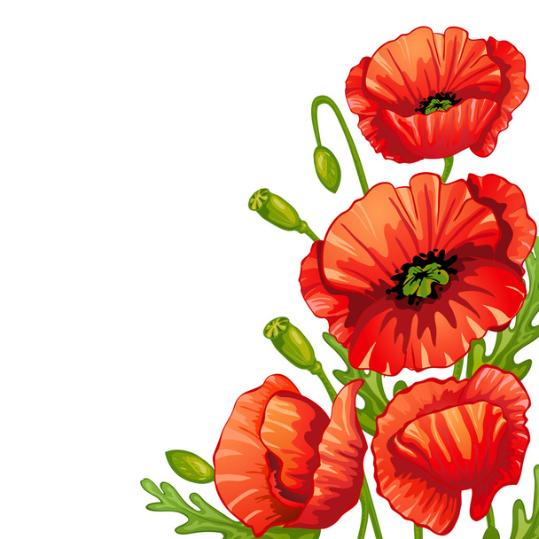 Red poppies - Διάνυσμα, εικόνα