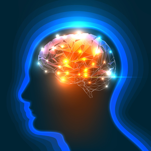 人間の脳 - ベクター画像