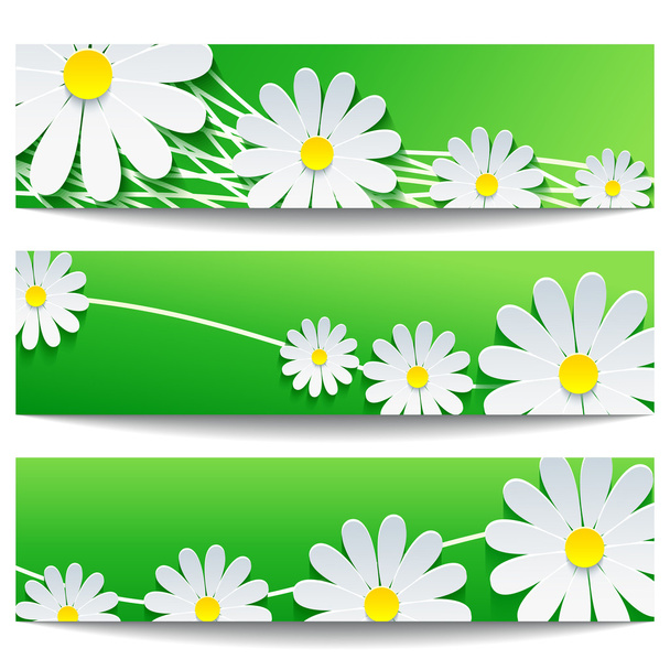Set kreativer Banner mit weißer Blume Kamille - Vektor, Bild