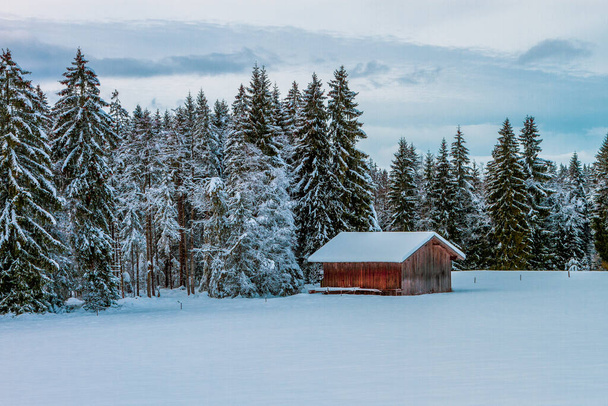 Зимний пейзаж в Баварских Альпах, Германия. - Фото, изображение