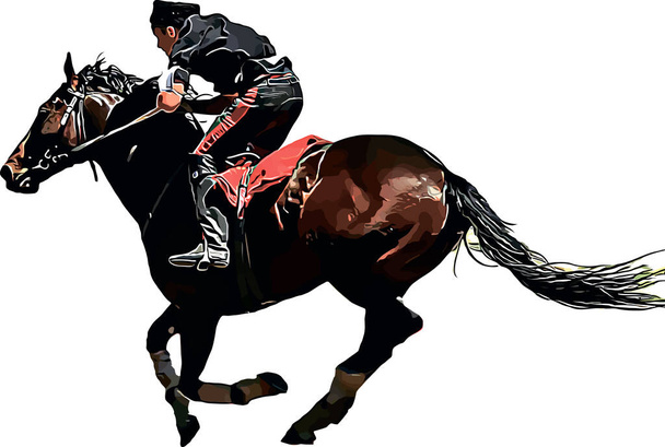 Racehhorse kanssa jockey kilpailuissa. Eristetty valkoisella pohjalla - Vektori, kuva