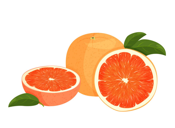 Kokonainen punainen appelsiini ja appelsiiniviipale vihreillä lehdillä. Vector kuva appelsiinit eristetty valkoisella pohjalla. - Vektori, kuva