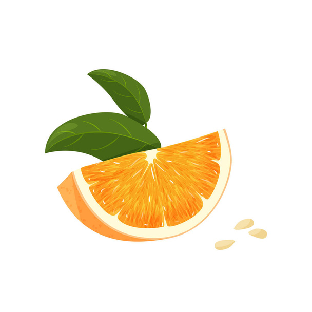 Pomarańczowy cały i plasterek pomarańczy z zielonymi liśćmi. Ilustracja wektorowa pomarańczy izolowanych na białym tle. - Wektor, obraz