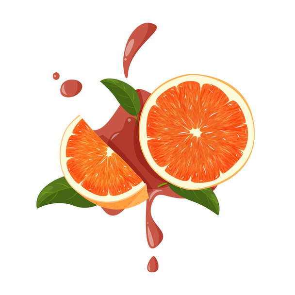 Red whole orange and slice with green leaves and juicy splashes. Vector illustration of oranges isolated on white background. - Vector, Image