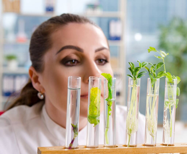 Женщина-биотехнолог, химик, работающая в лаборатории - Фото, изображение