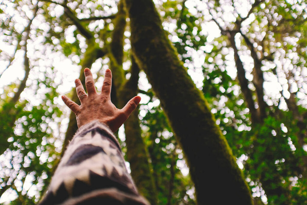 Concept of people and nature love. Man hands with green high trees in background to touching sky. Environment and stop deforestation to save earth planet - Photo, image