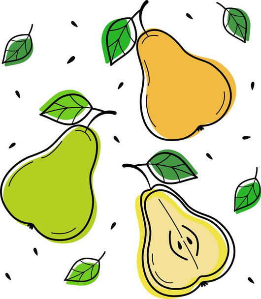 Vector illustration of pears on a white background - Διάνυσμα, εικόνα