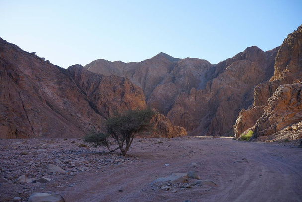 Schöne Berglandschaft in der Nähe der Oase Malakot Mountain, Wadi Gnai, Dahab, South Sinai Governorate, Ägypten   - Foto, Bild