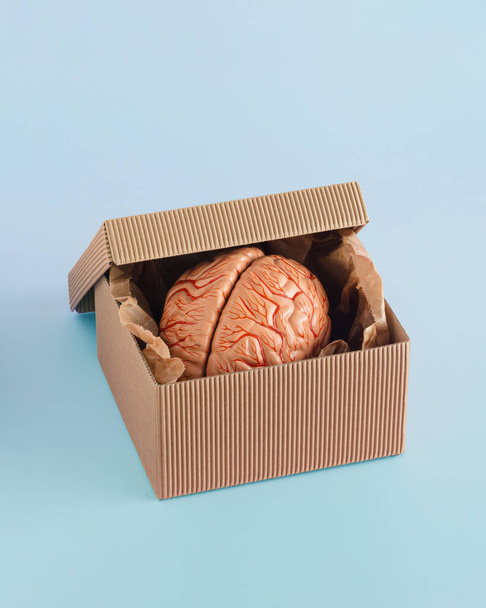 Minimal, creative, abstract, surreal concept made of a model of human brain in an open cardboard gift box on a pastel blue background. An idea for Halloween, medical card or healing and brain health. - Foto, Bild