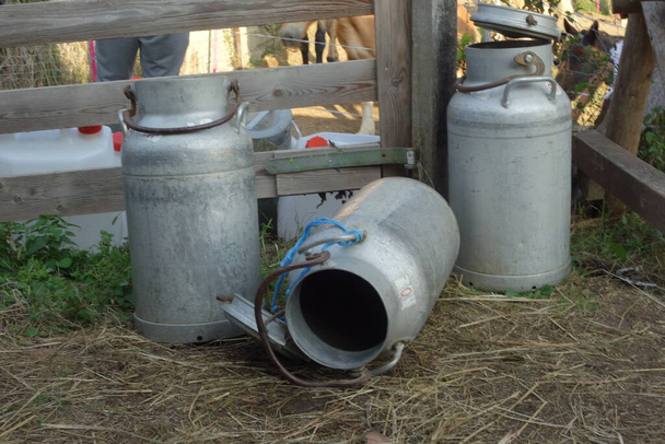 Świeże mleko krowie w puszkach mleka w gospodarstwie mleczarskim - Zdjęcie, obraz