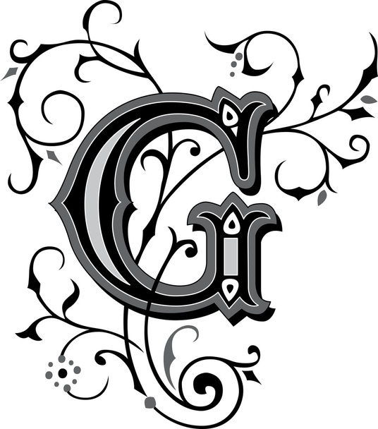 Beautifully decorated English alphabets, letter G - Vector, afbeelding