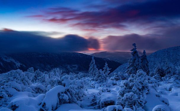 山の中で初期の日の出。カルコノゼ山脈の朝。山や茂みの上に雪があります - 写真・画像