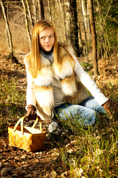Girl in the woods with a basket looking for mushrooms - Fotografie, Obrázek