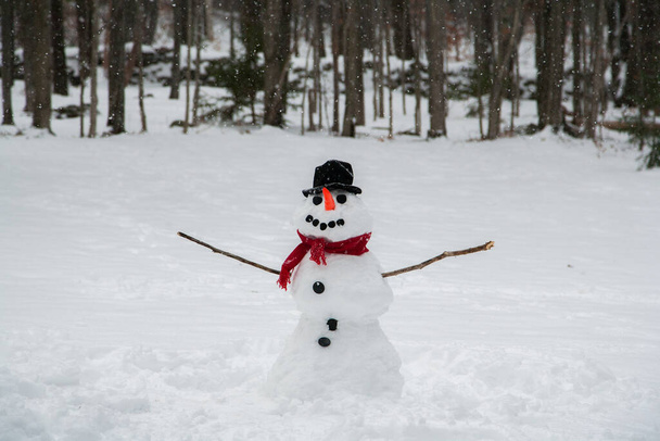 Happy Snowman in Snowy Field in Front of Forest Treeline - Fotoğraf, Görsel