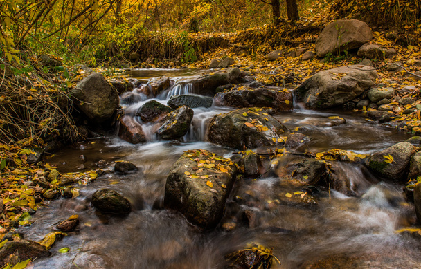 Autumn stream - Photo, Image