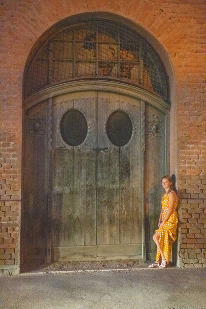 una chica se para en las enormes puertas de entrada en Tiflis - Foto, imagen