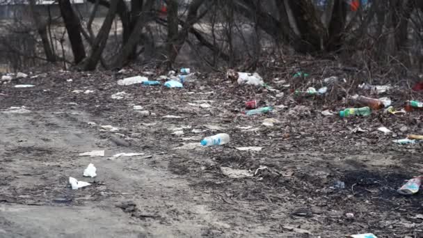 una montagna di spazzatura sulla strada nel bosco - Filmati, video