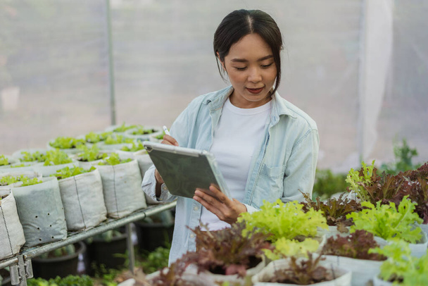 Asian farmer in vegetable organic farm. Female gardener use tablet to monitor growth quality vegetables in farm. Hydroponics organic farm concept. - Photo, image
