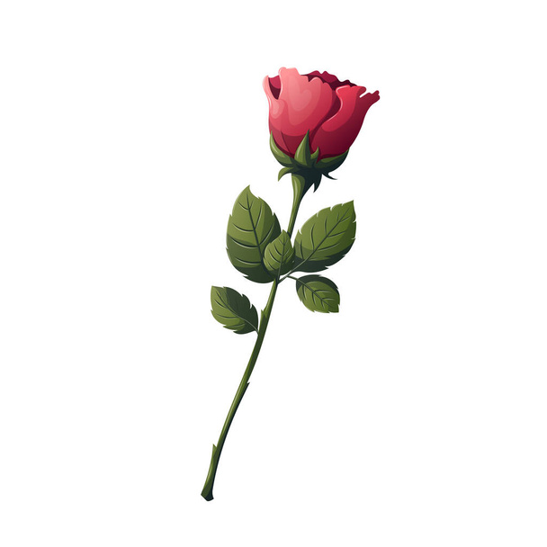 beautiful pink rose isolated on white background - Vector, Imagen