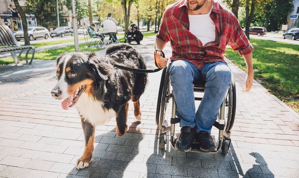 Щасливий молодий чоловік з фізичною вадою, який використовує інвалідне крісло зі своїм собакою
. - Фото, зображення
