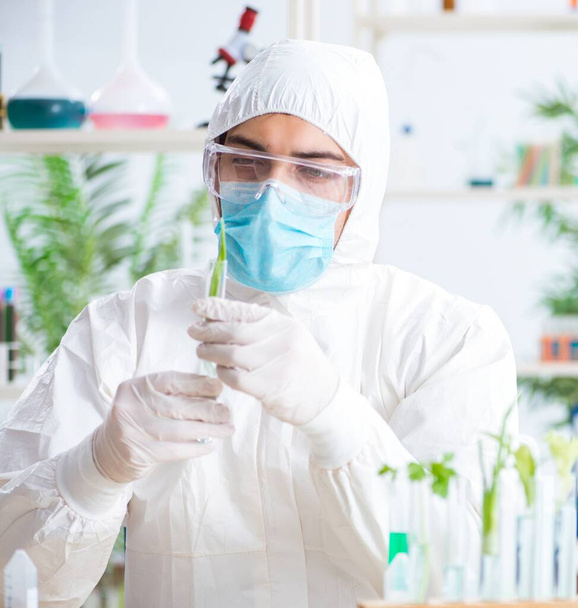 Male biochemist working in the lab on plants - Photo, image