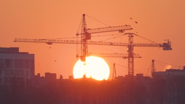 Donker silhouet van torenkranen met grote ondergaande zon op hoge residentiële flatgebouwen bouwplaats bij zonsondergang. Ontwikkeling van onroerend goed - Video