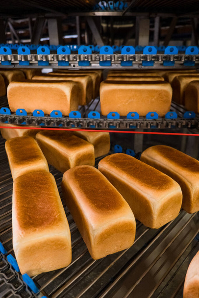 Mains de pain dans une boulangerie sur un tapis roulant automatisé. Production de pain. Industrie alimentaire - Photo, image