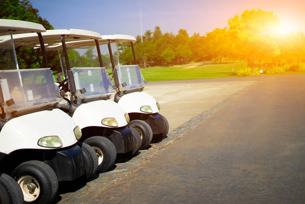 Golf carts line up in the golf course in the morning - 写真・画像