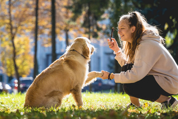 Il proprietario interpreta il cane golden retriever nel parco. - Foto, immagini