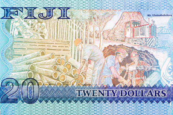 Processamento de peixe; corte de madeira; mineração; trem; Monte Uluinabukelevu a partir de dinheiro fijiano - Dólares - Foto, Imagem