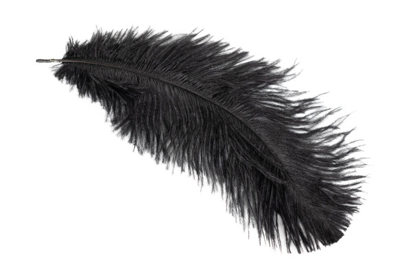 черное перо страуса на белом изолированном фоне - Фото, изображение