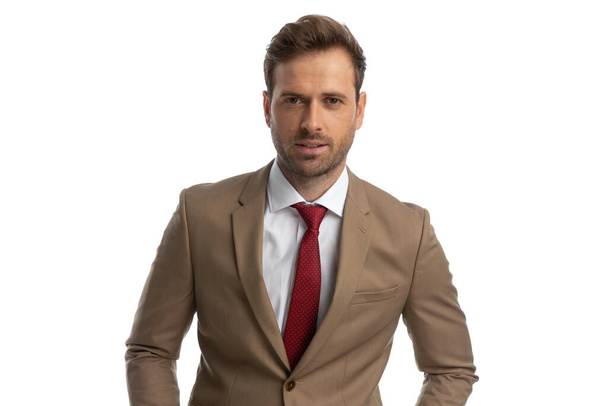 young handsome businessman posing against white background in his nice suit against white background - Fotó, kép