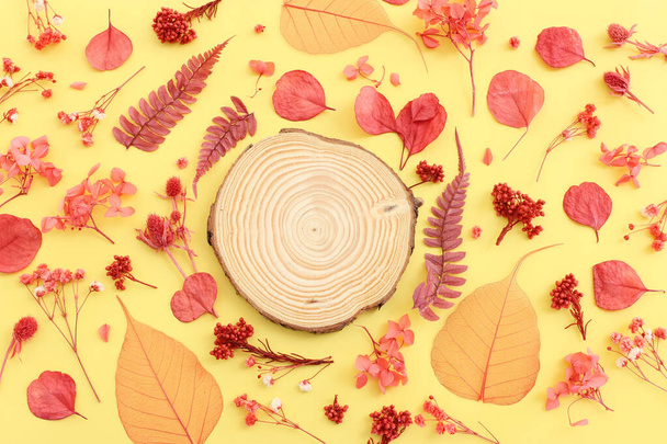 Top view image of autumn forest natural composition over yellow background .Flat lay - Fotó, kép