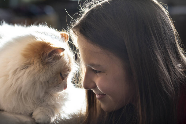 Een meisje met lang haar en een witte pluizige kat in profiel. Een close-up. Het concept van vriendschap met huisdieren - Foto, afbeelding