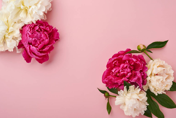 Beautiful red, pink and white peony flowers bouquet over pink background, top view, copy space, flat-lay. Valentines, Wedding and Mothers day background. - Фото, изображение