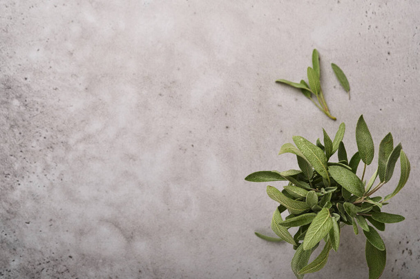 Sage. Bunch of fresh green leaves. Herb sage abstract texture background. Nature concepts. Soft and selective focus. Texture. Mock up. Top view with copyspace. - Foto, Imagem