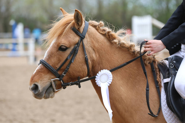 未知の競合他社は、夏の屋外での方程式イベントでスポーツ馬に乗っています。受賞歴のあるリボンを着てジャンパー馬を表示します。馬術スポーツ。馬の少女鞍に座って - 写真・画像