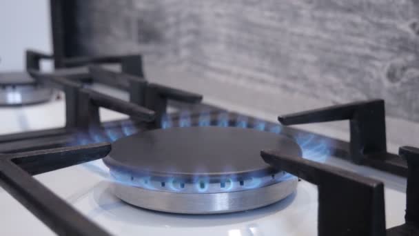 Il fuoco blu del gas naturale brucia su una stufa a gas. Gas russo - Filmati, video